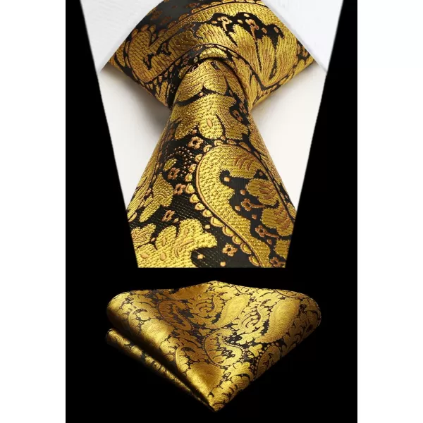 HISDERN Ties for Men Paisley Tie and Pocket Square Woven Classic Floral Mens Ties Handkerchief Set Wedding Party Necktie