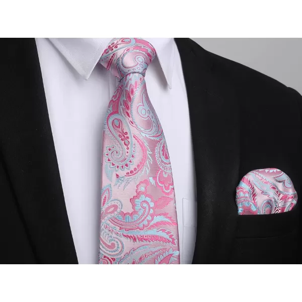 HISDERN Ties for Men Paisley Tie and Pocket Square Woven Classic Floral Mens Ties Handkerchief Set Wedding Party Necktie