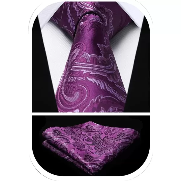 HISDERN Ties for Men Paisley Tie and Pocket Square Woven Classic Floral Mens Ties Handkerchief Set Wedding Party Necktie