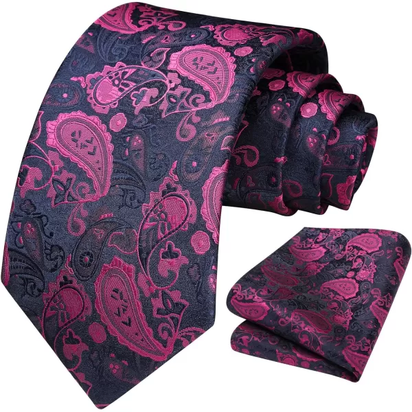 HISDERN Ties for Men Paisley Tie and Pocket Square Woven Classic Floral Mens Ties Handkerchief Set Wedding Party Necktie