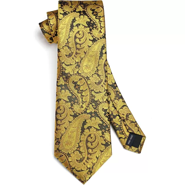 HISDERN Ties for Men Paisley Tie and Pocket Square Woven Classic Floral Mens Ties Handkerchief Set Wedding Party Necktie