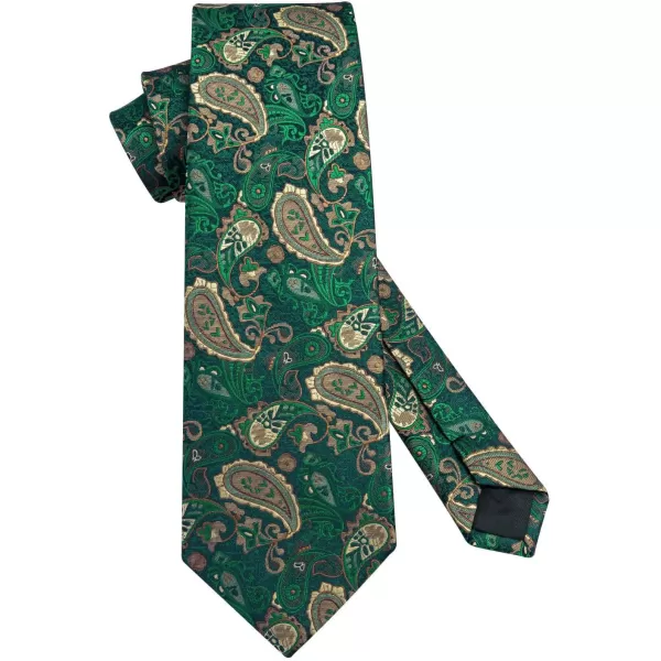 HISDERN Ties for Men Paisley Tie and Pocket Square Woven Classic Floral Mens Ties Handkerchief Set Wedding Party Necktie