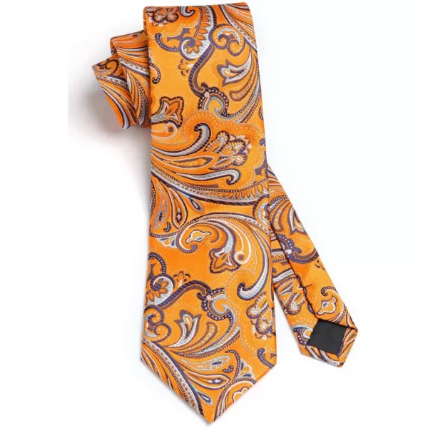 HISDERN Ties for Men Paisley Tie and Pocket Square Woven Classic Floral Mens Ties Handkerchief Set Wedding Party Necktie