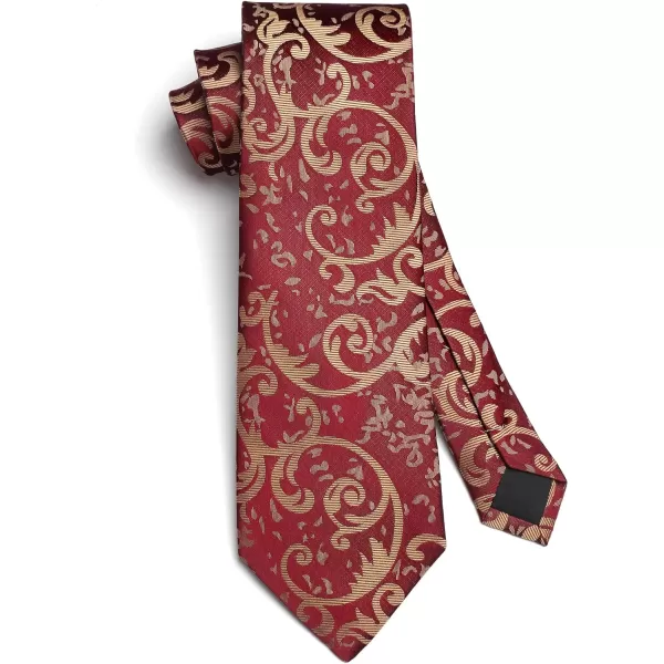 HISDERN Ties for Men Paisley Tie and Pocket Square Woven Classic Floral Mens Ties Handkerchief Set Wedding Party Necktie
