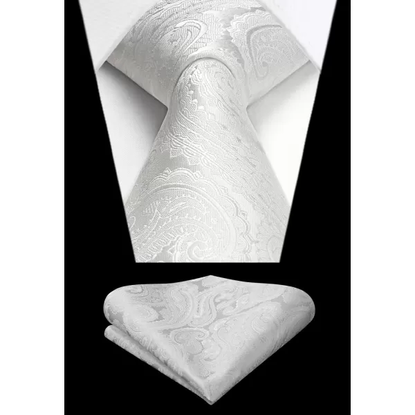 HISDERN Ties for Men Paisley Tie and Pocket Square Woven Classic Floral Mens Ties Handkerchief Set Wedding Party Necktie