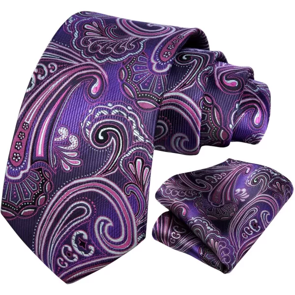 HISDERN Ties for Men Paisley Tie and Pocket Square Woven Classic Floral Mens Ties Handkerchief Set Wedding Party Necktie