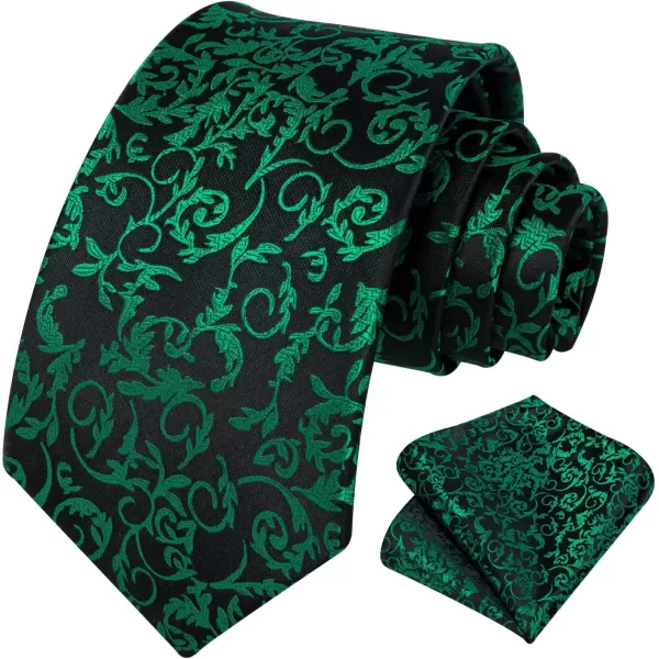HISDERN Ties for Men Paisley Tie and Pocket Square Woven Classic Floral Mens Ties Handkerchief Set Wedding Party Necktie