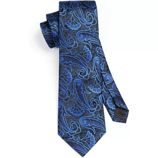 HISDERN Ties for Men Paisley Tie and Pocket Square Woven Classic Floral Mens Ties Handkerchief Set Wedding Party Necktie