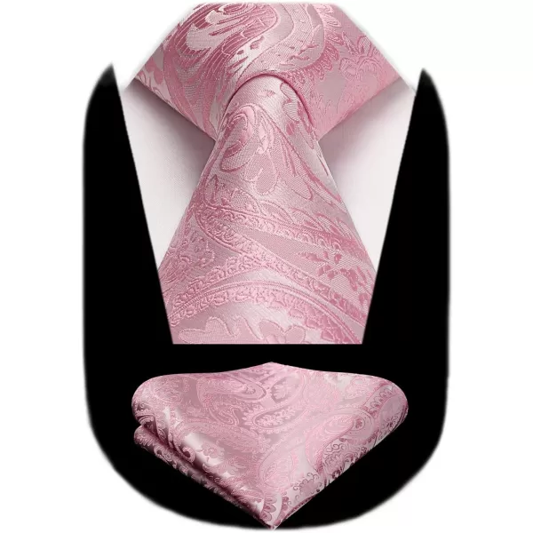 HISDERN Ties for Men Paisley Tie and Pocket Square Woven Classic Floral Mens Ties Handkerchief Set Wedding Party Necktie