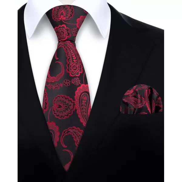 HISDERN Ties for Men Paisley Tie and Pocket Square Woven Classic Floral Mens Ties Handkerchief Set Wedding Party Necktie