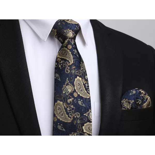HISDERN Ties for Men Paisley Tie and Pocket Square Woven Classic Floral Mens Ties Handkerchief Set Wedding Party Necktie