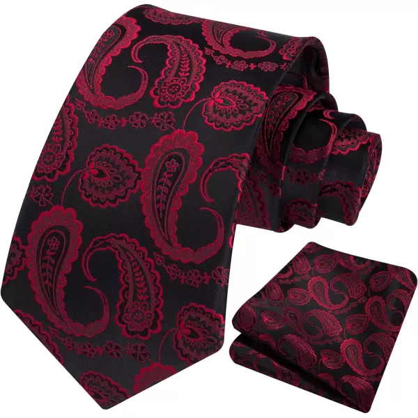 HISDERN Ties for Men Paisley Tie and Pocket Square Woven Classic Floral Mens Ties Handkerchief Set Wedding Party Necktie