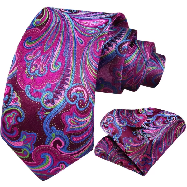 HISDERN Ties for Men Paisley Tie and Pocket Square Woven Classic Floral Mens Ties Handkerchief Set Wedding Party Necktie