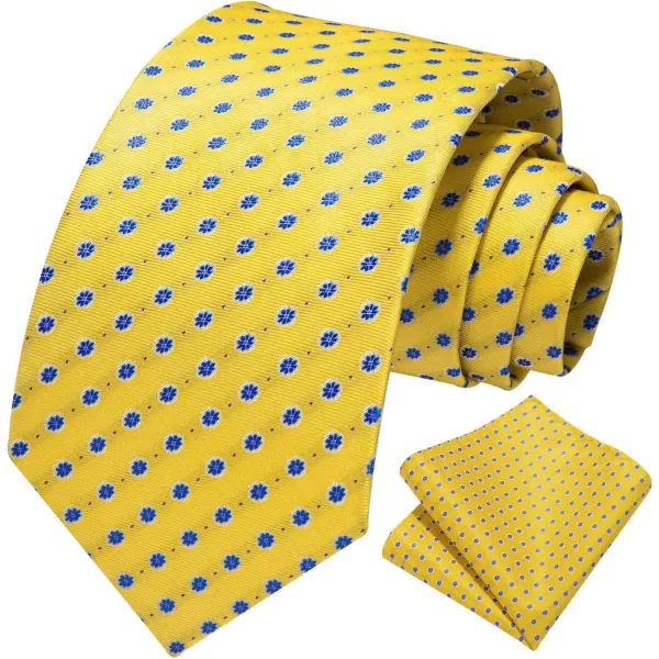 HISDERN Ties for Men Paisley Tie and Pocket Square Woven Classic Floral Mens Ties Handkerchief Set Wedding Party Necktie