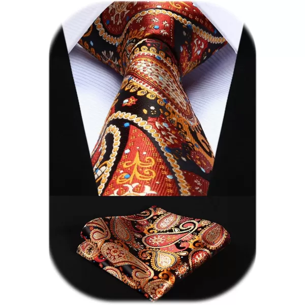 HISDERN Ties for Men Paisley Tie and Pocket Square Woven Classic Floral Mens Ties Handkerchief Set Wedding Party Necktie