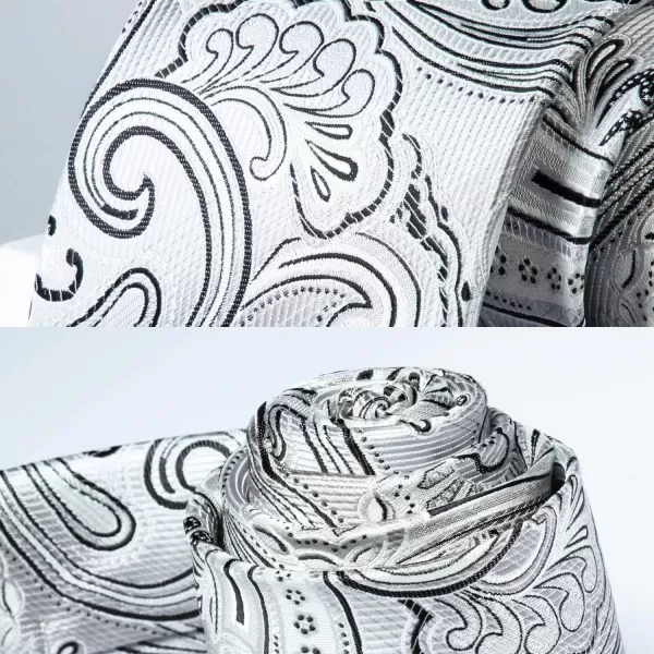 HISDERN Ties for Men Paisley Tie and Pocket Square Woven Classic Floral Mens Ties Handkerchief Set Wedding Party Necktie