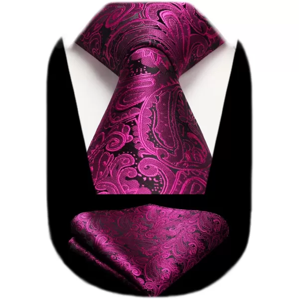 HISDERN Ties for Men Paisley Tie and Pocket Square Woven Classic Floral Mens Ties Handkerchief Set Wedding Party Necktie