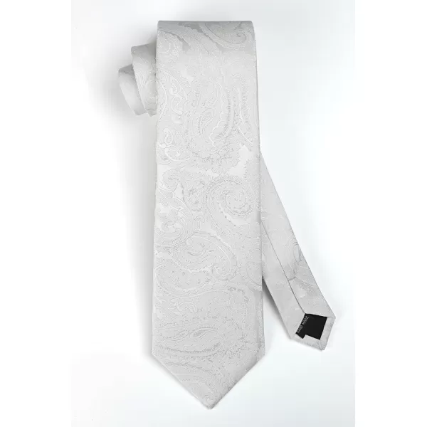 HISDERN Ties for Men Paisley Tie and Pocket Square Woven Classic Floral Mens Ties Handkerchief Set Wedding Party Necktie