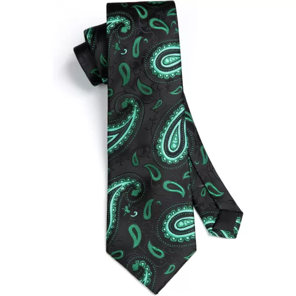 HISDERN Ties for Men Paisley Tie and Pocket Square Woven Classic Floral Mens Ties Handkerchief Set Wedding Party Necktie