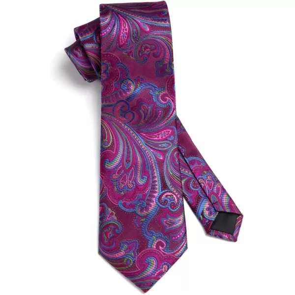 HISDERN Ties for Men Paisley Tie and Pocket Square Woven Classic Floral Mens Ties Handkerchief Set Wedding Party Necktie