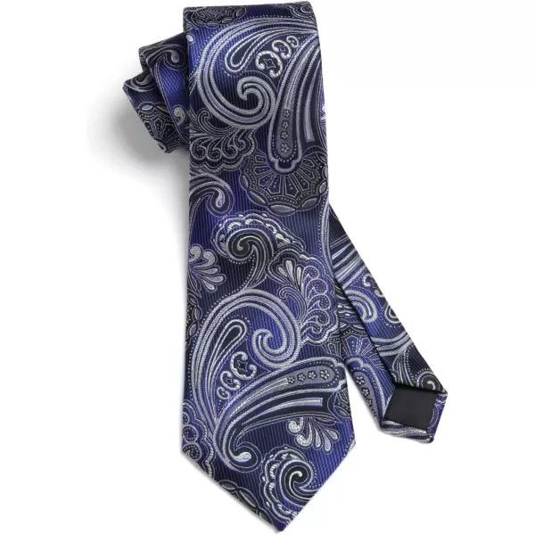 HISDERN Ties for Men Paisley Tie and Pocket Square Woven Classic Floral Mens Ties Handkerchief Set Wedding Party Necktie