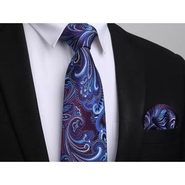 HISDERN Ties for Men Paisley Tie and Pocket Square Woven Classic Floral Mens Ties Handkerchief Set Wedding Party Necktie