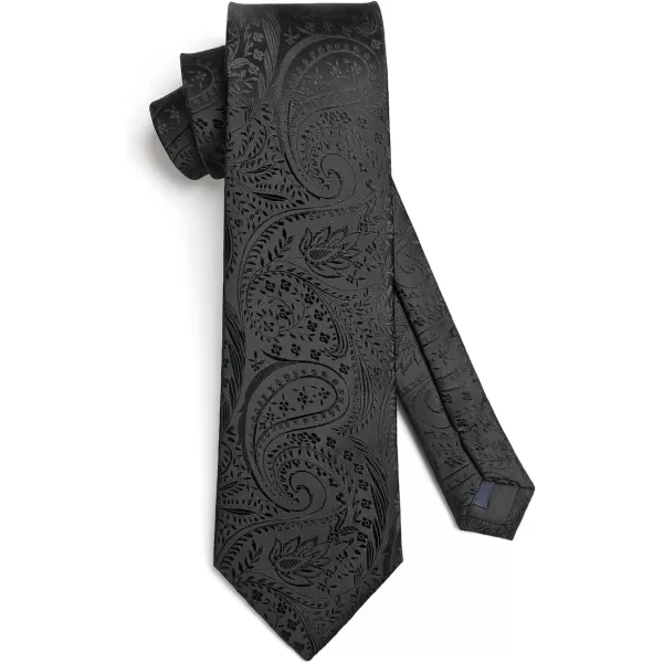 HISDERN Ties for Men Paisley Tie and Pocket Square Woven Classic Floral Mens Ties Handkerchief Set Wedding Party Necktie