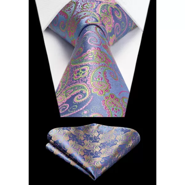 HISDERN Ties for Men Paisley Tie and Pocket Square Woven Classic Floral Mens Ties Handkerchief Set Wedding Party Necktie