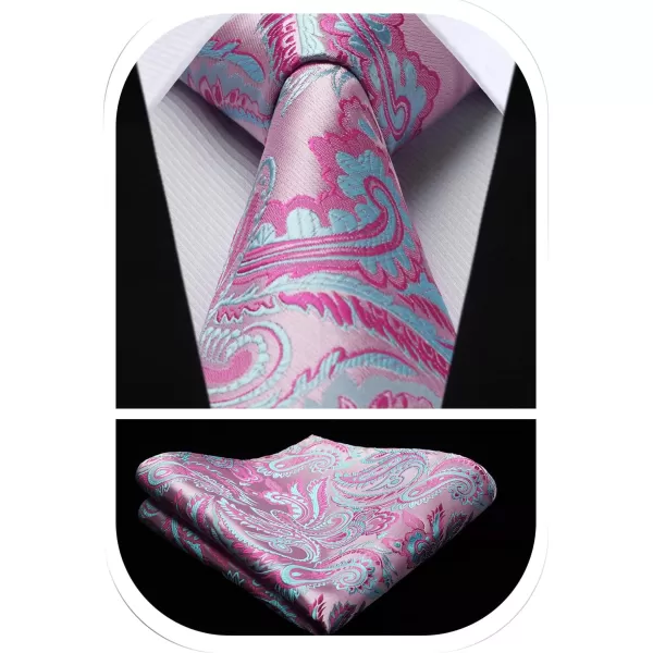 HISDERN Ties for Men Paisley Tie and Pocket Square Woven Classic Floral Mens Ties Handkerchief Set Wedding Party Necktie