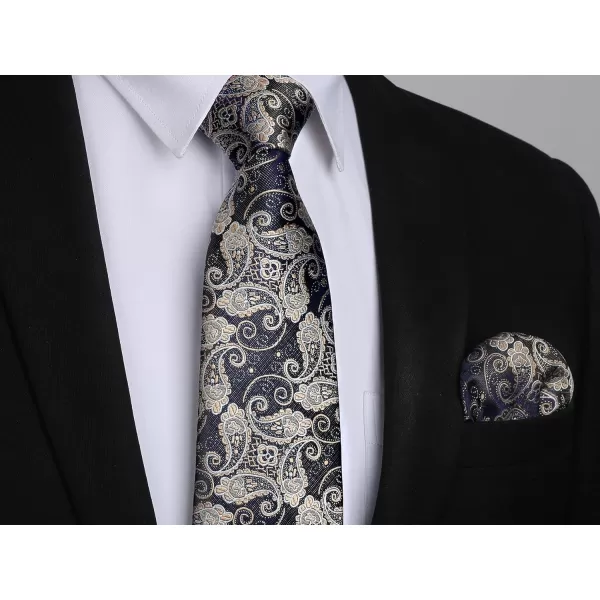 HISDERN Ties for Men Paisley Tie and Pocket Square Woven Classic Floral Mens Ties Handkerchief Set Wedding Party Necktie