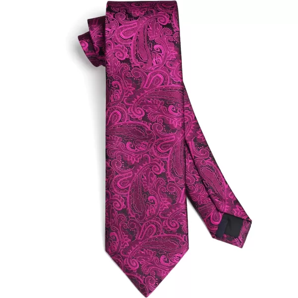 HISDERN Ties for Men Paisley Tie and Pocket Square Woven Classic Floral Mens Ties Handkerchief Set Wedding Party Necktie