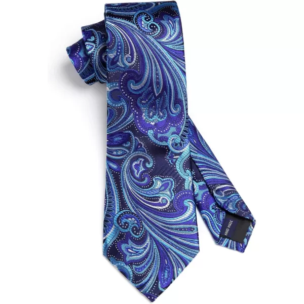 HISDERN Ties for Men Paisley Tie and Pocket Square Woven Classic Floral Mens Ties Handkerchief Set Wedding Party Necktie