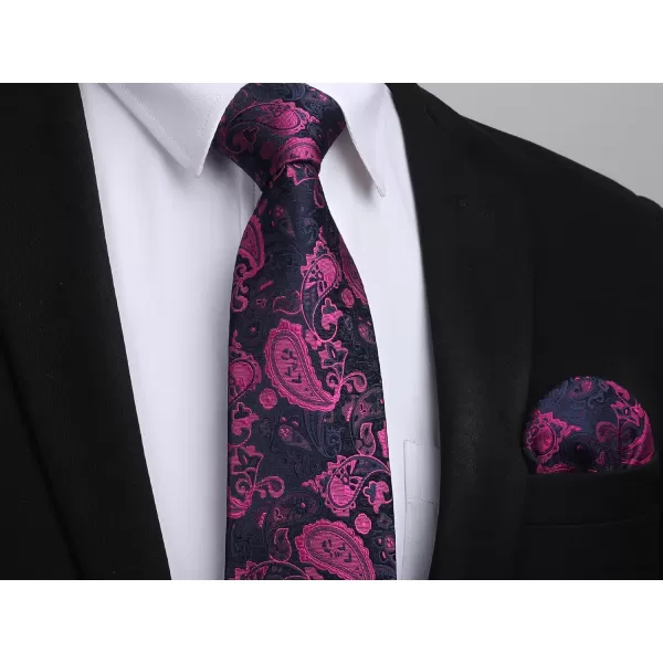 HISDERN Ties for Men Paisley Tie and Pocket Square Woven Classic Floral Mens Ties Handkerchief Set Wedding Party Necktie