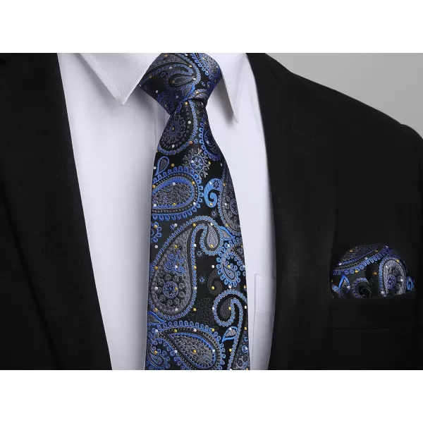 HISDERN Ties for Men Paisley Tie and Pocket Square Woven Classic Floral Mens Ties Handkerchief Set Wedding Party Necktie