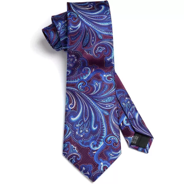 HISDERN Ties for Men Paisley Tie and Pocket Square Woven Classic Floral Mens Ties Handkerchief Set Wedding Party Necktie