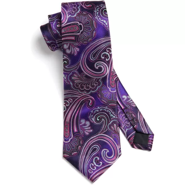 HISDERN Ties for Men Paisley Tie and Pocket Square Woven Classic Floral Mens Ties Handkerchief Set Wedding Party Necktie