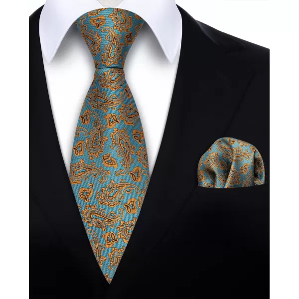 HISDERN Ties for Men Paisley Tie and Pocket Square Woven Classic Floral Mens Ties Handkerchief Set Wedding Party Necktie