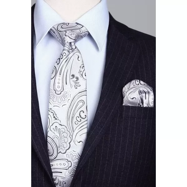 HISDERN Ties for Men Paisley Tie and Pocket Square Woven Classic Floral Mens Ties Handkerchief Set Wedding Party Necktie