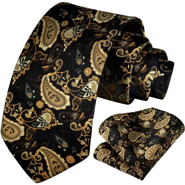 HISDERN Ties for Men Paisley Tie and Pocket Square Woven Classic Floral Mens Ties Handkerchief Set Wedding Party Necktie