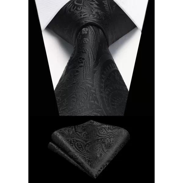 HISDERN Ties for Men Paisley Tie and Pocket Square Woven Classic Floral Mens Ties Handkerchief Set Wedding Party Necktie