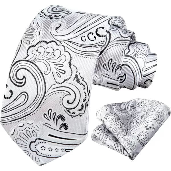 HISDERN Ties for Men Paisley Tie and Pocket Square Woven Classic Floral Mens Ties Handkerchief Set Wedding Party Necktie