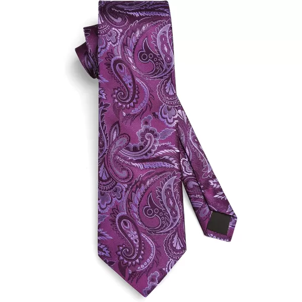 HISDERN Ties for Men Paisley Tie and Pocket Square Woven Classic Floral Mens Ties Handkerchief Set Wedding Party Necktie