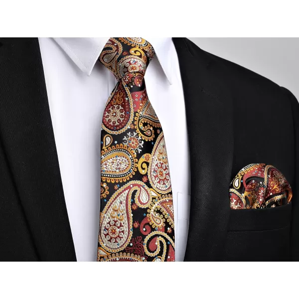 HISDERN Ties for Men Paisley Tie and Pocket Square Woven Classic Floral Mens Ties Handkerchief Set Wedding Party Necktie