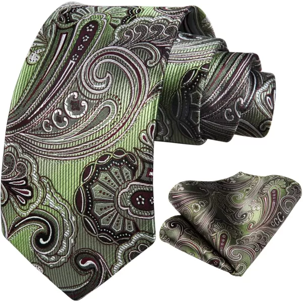 HISDERN Ties for Men Paisley Tie and Pocket Square Woven Classic Floral Mens Ties Handkerchief Set Wedding Party Necktie