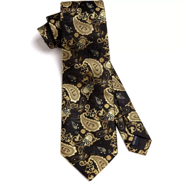 HISDERN Ties for Men Paisley Tie and Pocket Square Woven Classic Floral Mens Ties Handkerchief Set Wedding Party Necktie