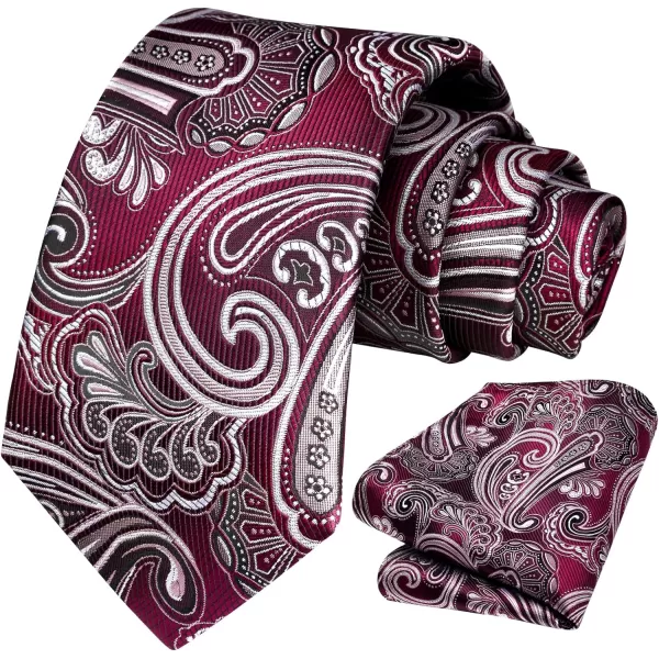 HISDERN Ties for Men Paisley Tie and Pocket Square Woven Classic Floral Mens Ties Handkerchief Set Wedding Party Necktie