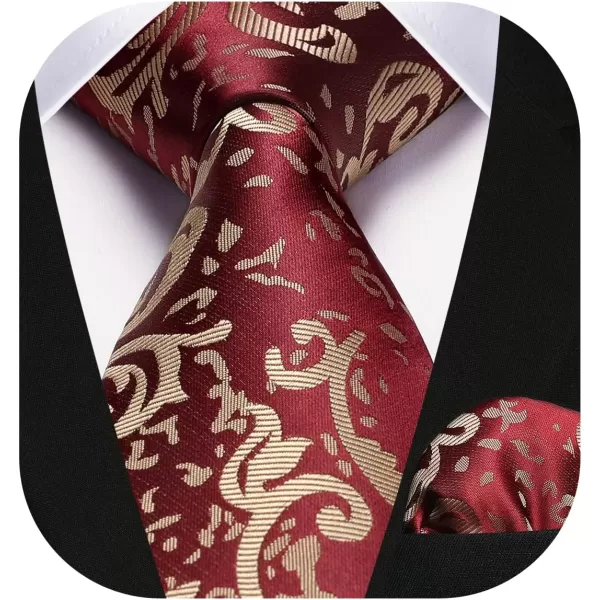 HISDERN Ties for Men Paisley Tie and Pocket Square Woven Classic Floral Mens Ties Handkerchief Set Wedding Party Necktie