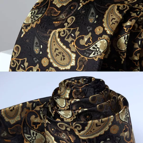 HISDERN Ties for Men Paisley Tie and Pocket Square Woven Classic Floral Mens Ties Handkerchief Set Wedding Party Necktie