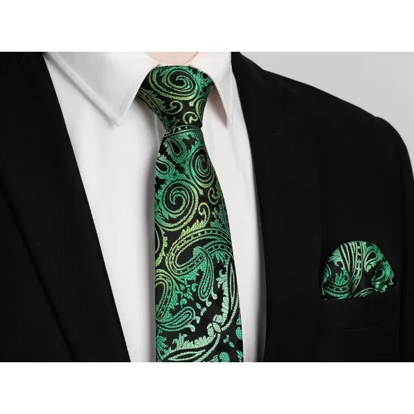 HISDERN Ties for Men Paisley Tie and Pocket Square Woven Classic Floral Mens Ties Handkerchief Set Wedding Party Necktie