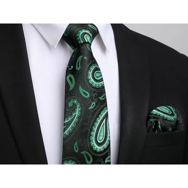 HISDERN Ties for Men Paisley Tie and Pocket Square Woven Classic Floral Mens Ties Handkerchief Set Wedding Party Necktie